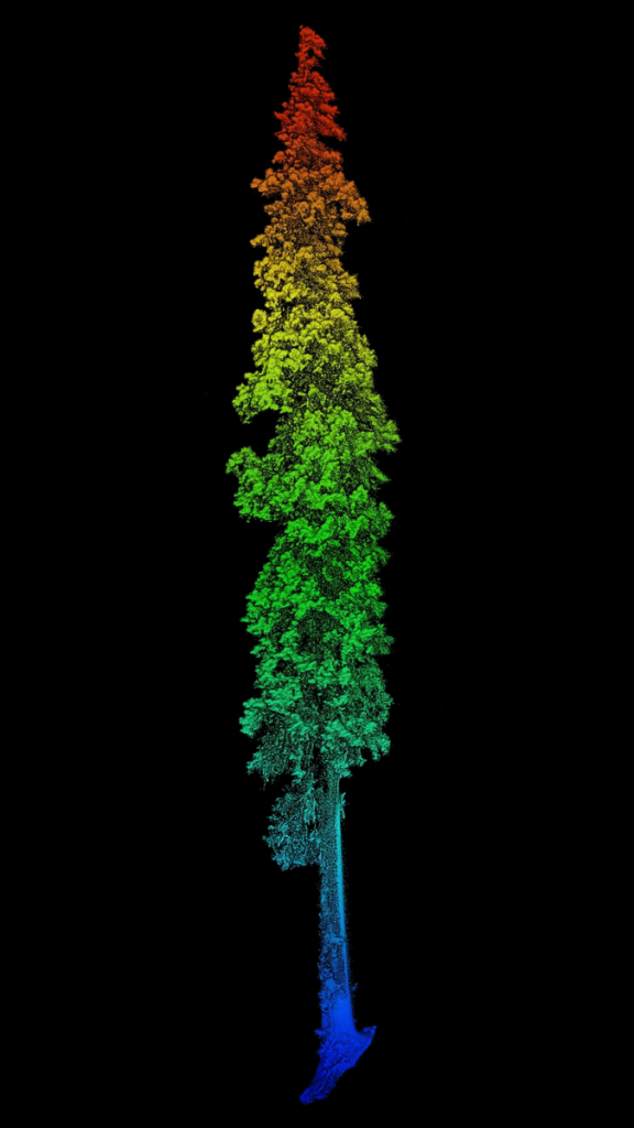 A Lidar-Based Journey into Asia’s Tallest Trees – Methods Blog