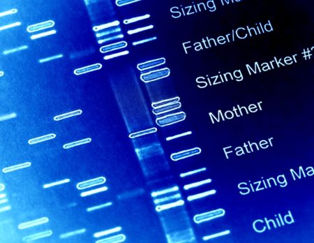 Ancient genetic mixing shaped the evolution of modern humans