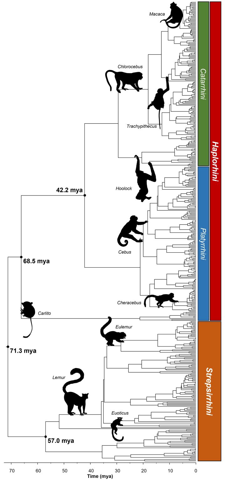 A new way to map the evolutionary history of life on Earth