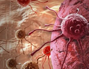 New research shines light on position-specific hallmarks of cancer