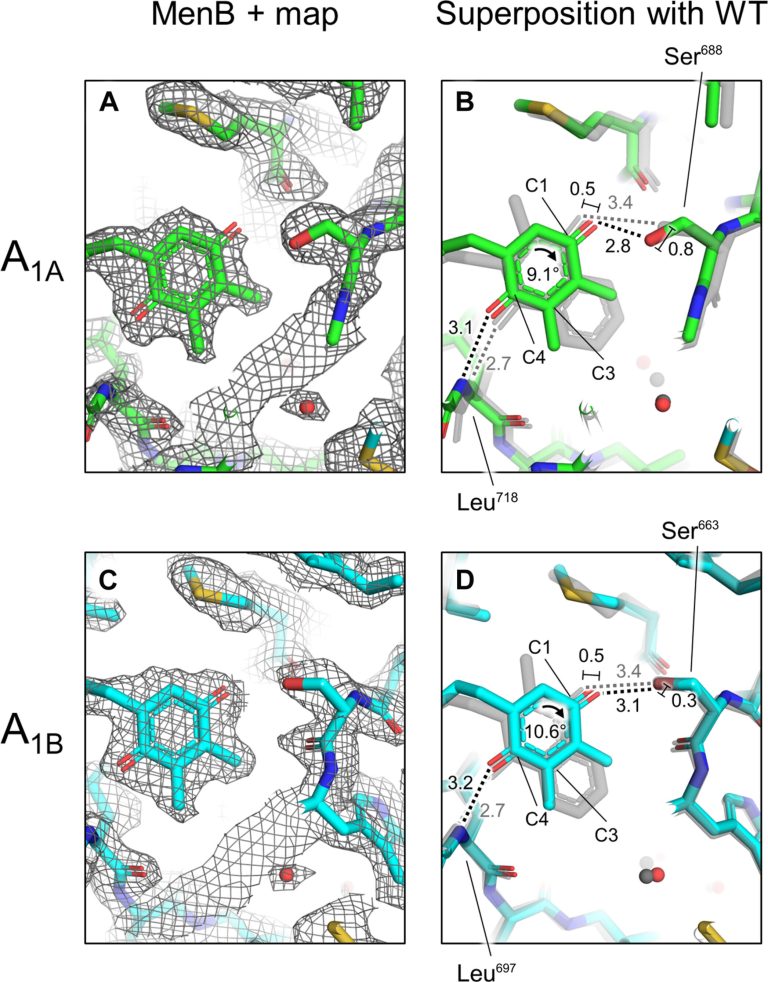 Discovery of key protein complex shows evolution and adaptability of photosynthetic organisms