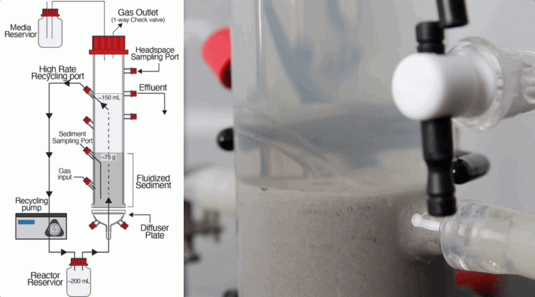 How Microbes Evolve to Spatially Divide and Conquer an Environment  · Institute for Systems Biology