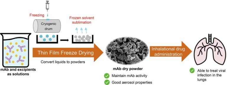 Inhalable dry powders of a monoclonal antibody against SARS-CoV-2 virus made by thin-film freeze-drying