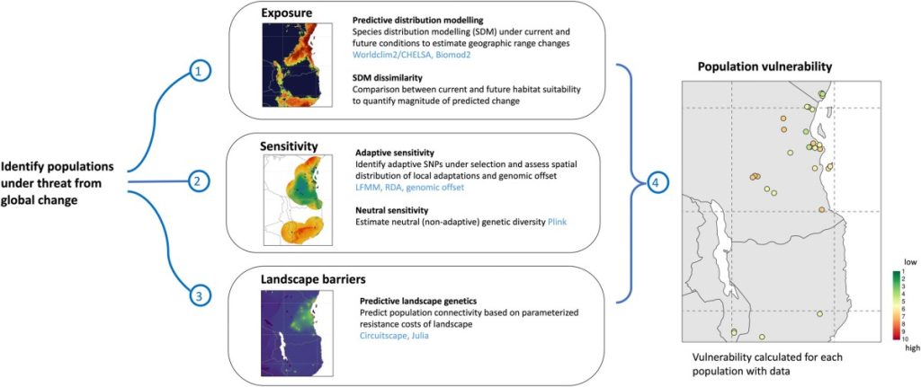 Introducing ‘Life on the edge’, a new toolbox for predicting population responses to global change – Methods Blog