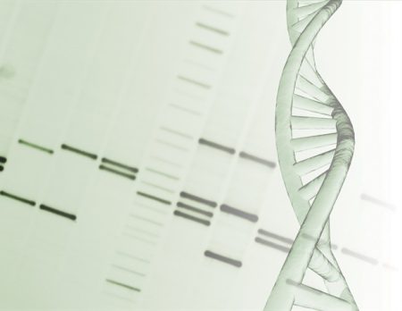 Characterizing the spectrum of mitochondrial DNA deletion disease syndromes