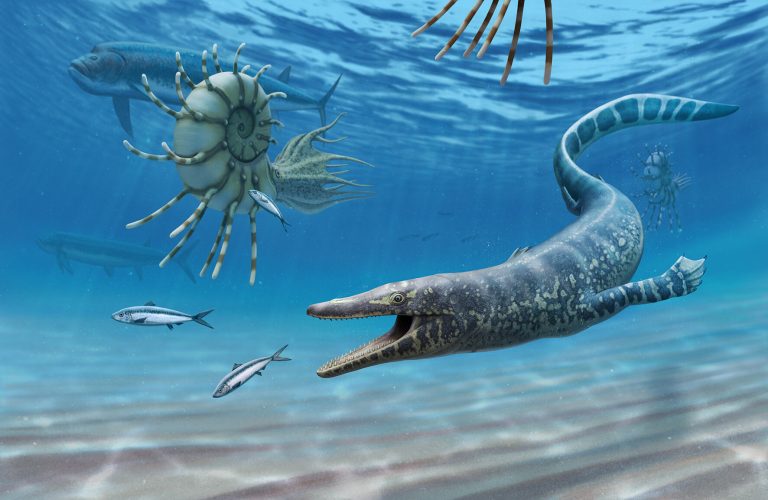 New insights into the evolution and paleoecology of mosasaurs