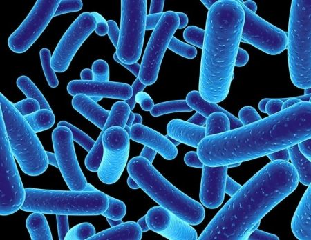 Drug-resistant bacteria evolve to weaponize an antimicrobial genetic tool