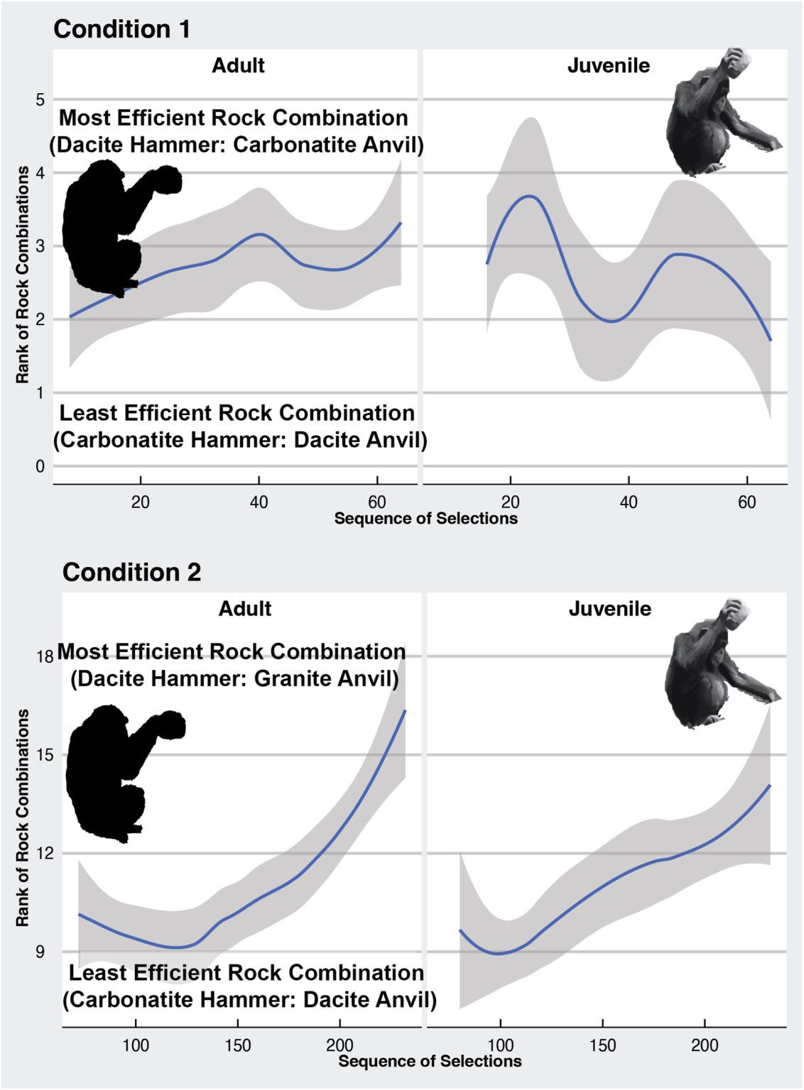 Chimpanzees’ stone tool choices may mirror ancient human ancestors’ techniques