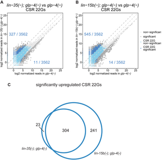 Decreased SynMuv B gene activity in response to viral infection leads to activation of the antiviral RNAi pathway in C. elegans