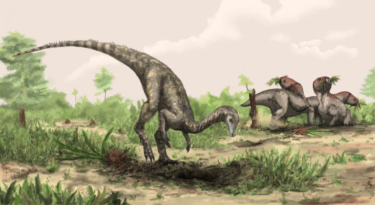 Earliest dinosaurs may have emerged in the Amazon