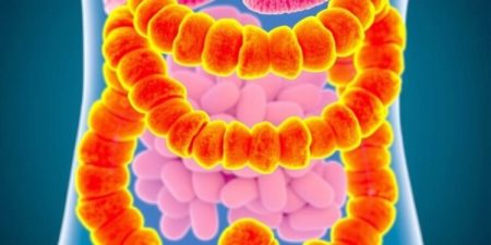 First Analysis of Sugar-Fed Healthy Gut Bacteria Unveiled