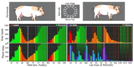 Insights from Metabolome and RNA-seq Uncover Divergent Metabolic and