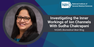 Investigating the Inner Workings of Ion Channels With Sudha Chakrapani – Biomedical Beat Blog – National Institute of General Medical Sciences