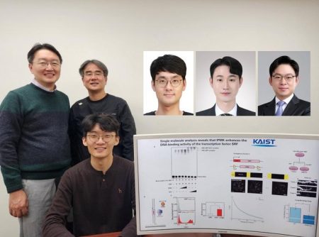 KAIST Reveals Key Principles of Gene Expression Regulation in Cancer and