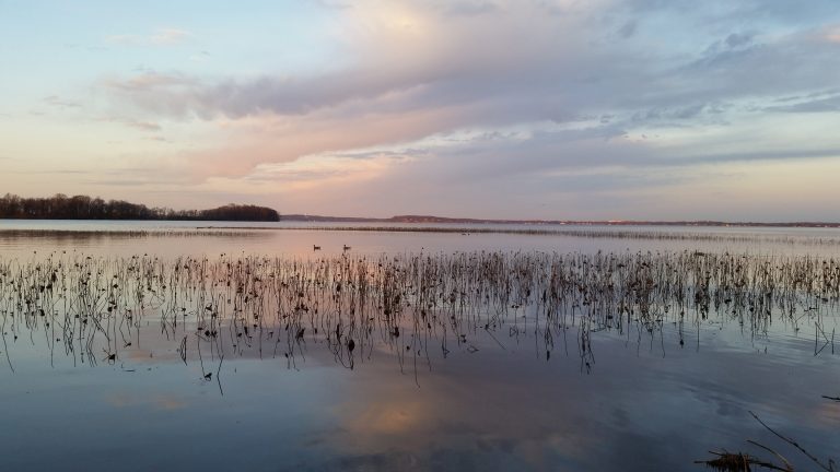 Lake bacteria evolve like clockwork with the seasons, study reveals