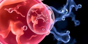 New Study Unveils the Protective Properties of Amniotic Fluid