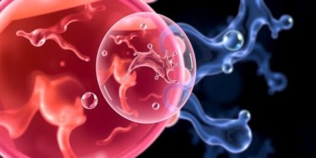 New Study Unveils the Protective Properties of Amniotic Fluid