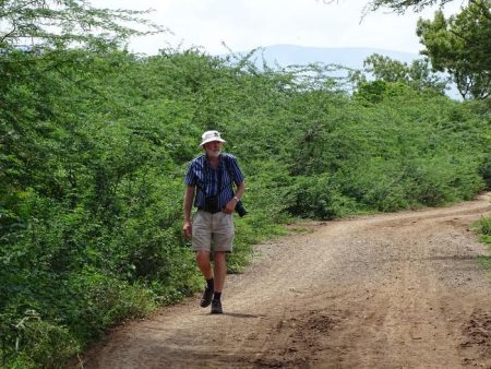 Researchers Address the Impact of Africa’s Most Devastating Invasive Tree