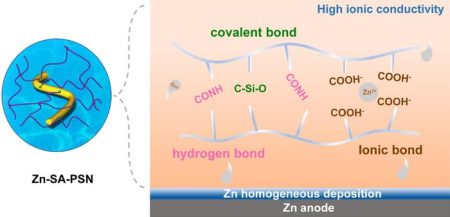 Revolutionary Hydrogel Electrolyte Enhances Efficiency of Sodium-Zinc