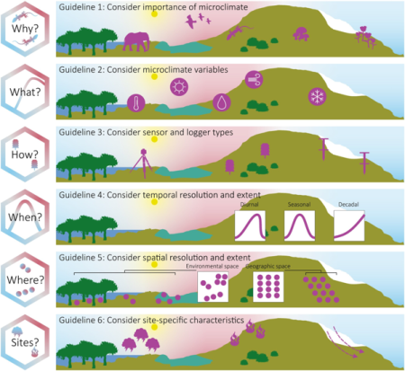 Ten practical guidelines for microclimate research in terrestrial ecosystems – Methods Blog