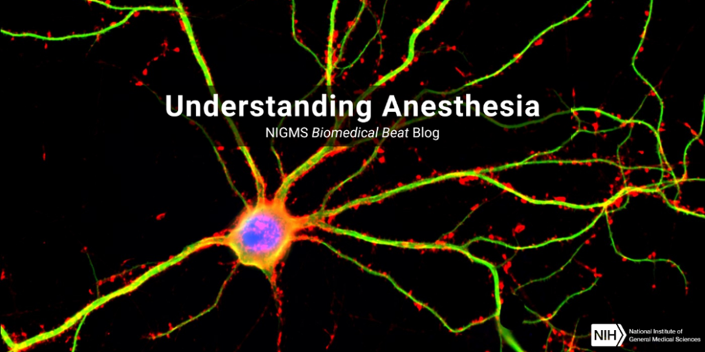 Understanding Anesthesia – Biomedical Beat Blog – National Institute of General Medical Sciences