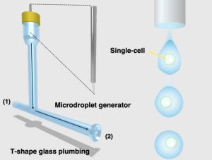 Unveiling Single-Cell Elemental Insights with Inductively Coupled Plasma