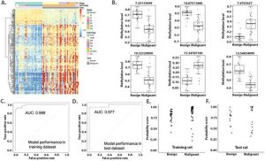 A Promising Biomarker for Early Lung Cancer Detection