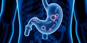 Bacterial Leakage from Stomach Lining May Signal Increased Risk of Gastric