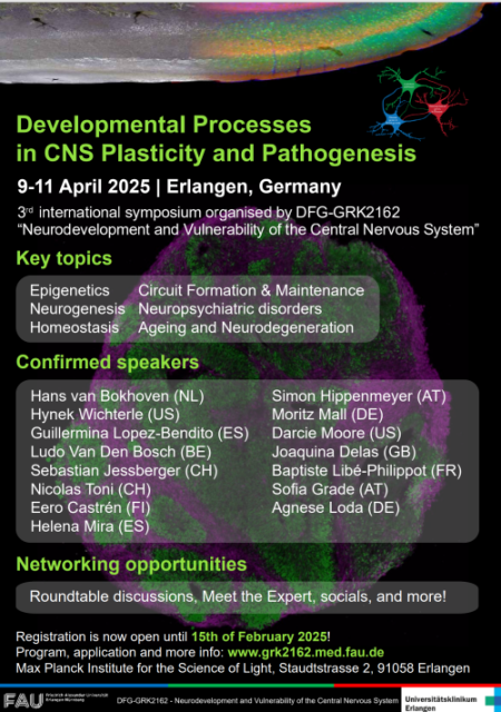 Developmental Processes in CNS Plasticity and Pathogenesis: 3rd International Symposium