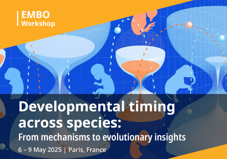 Developmental timing across species | EMBO Workshop | 6-9 May