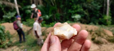 Earliest evidence for humans in rainforests discovered