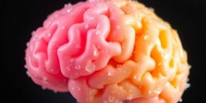 Exploring the Brain’s Sugar-Coated Defense Against Aging