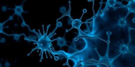 Immune Cells Linked to Increased Parkinson’s Disease Risk in Men