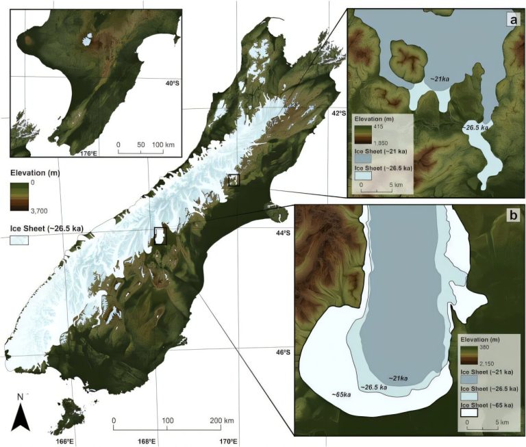 Loss of forests brought new birds to NZ during the last Ice Age—we’re witnessing a similar process now