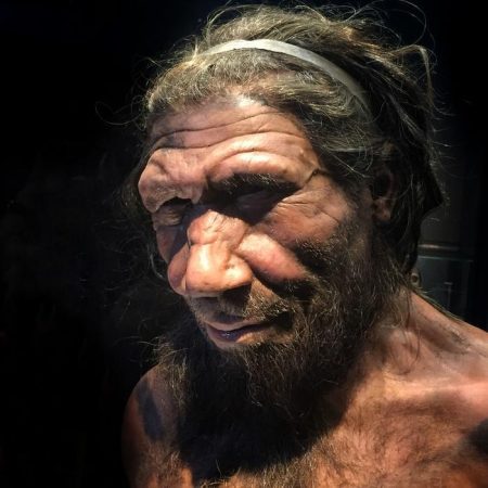 New Research Uncovers Neanderthal Population Decline 110,000 Years Ago