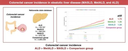 Unraveling the Connection Between Colorectal Cancer Risk and Fatty Liver