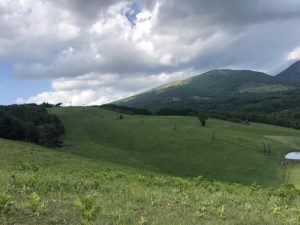 Bees in Restored Grasslands After Extended Absence