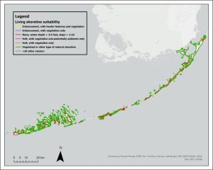 Coastal Guardians Innovate Shoreline Protection Strategies in the Florida