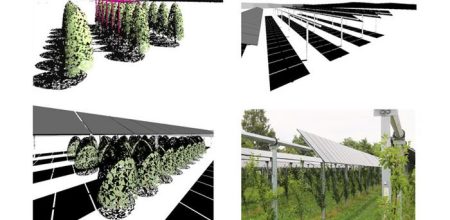 Enhancing Agrivoltaic Systems for Sustainable Agriculture