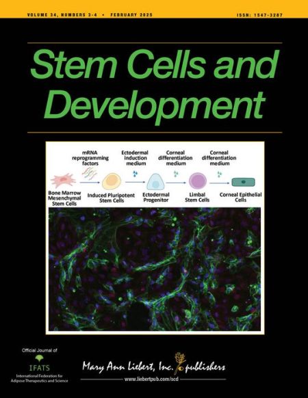 Exploring Meninges-Brain Signaling Through Organoid Fusion Models