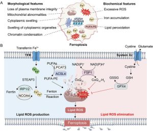 Exploring New Avenues in Disease Treatment: Traditional Chinese