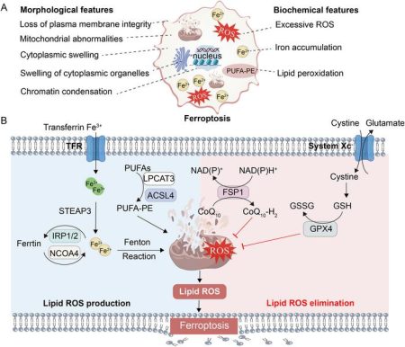 Exploring New Avenues in Disease Treatment: Traditional Chinese