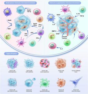 Exploring the Impact of Tumor-Infiltrating Immune Cells on Endometrial