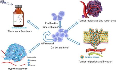 Exploring the Impact of Ubiquitination on Cancer Stem Cell Regulation