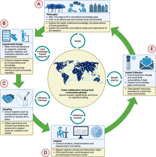 Microbiota isolate collections: A key to global vector-borne disease control