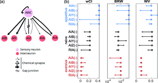 Navigation strategies in Caenorhabditis elegans are differentially altered by learning