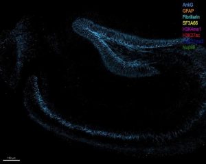 Revolutionary Technique Employs DNA Barcodes for Enhanced RNA and Protein