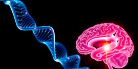 Study Reveals Genetic Mutations Associated with Toxin Exposure in Brain