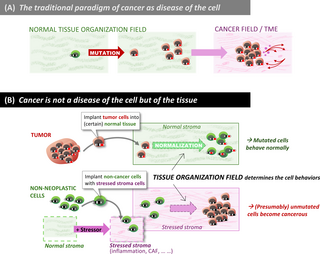 The end of the genetic paradigm of cancer