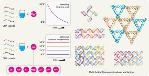 UAlbany Researchers Discover Innovative Advances in DNA Nanostructure